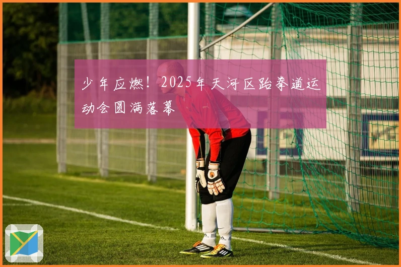 少年应燃！2025年天河区跆拳道运动会圆满落幕