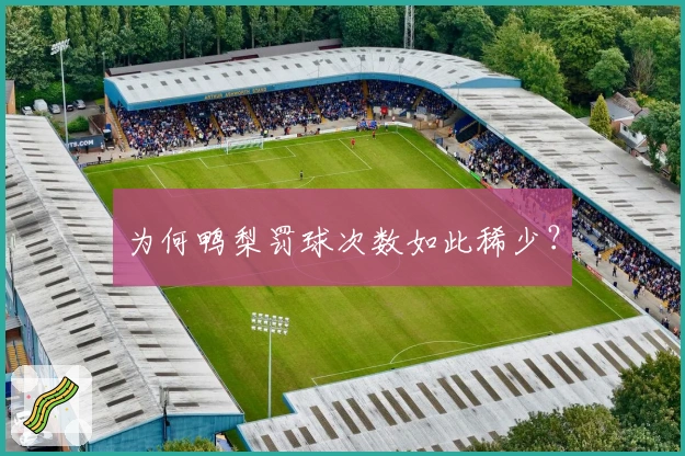 为何鸭梨罚球次数如此稀少？